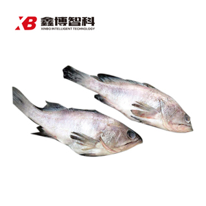 3 副本副本.jpg
