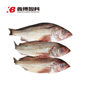 2 副本副本.JPG