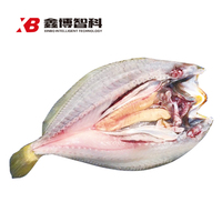 2 副本副本.JPG