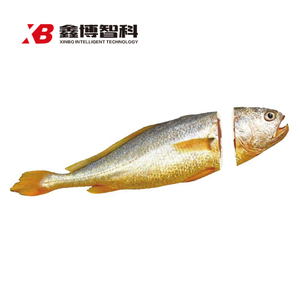 2 副本副本.JPG