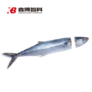 1 副本副本.JPG