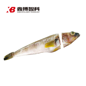 3 副本副本.jpg