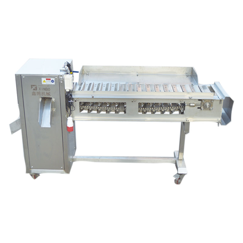 XBF-003鱼类切头切尾机De-heading & tail cutting machine