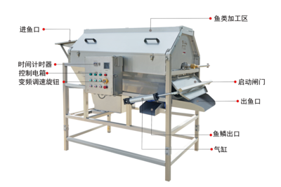 XBF-036B转笼式去鳞机 Rotary scaling machine