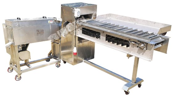 XBF-838 Fish automatic head-removing and main bone-removing unit(getting two pieces of fillets)